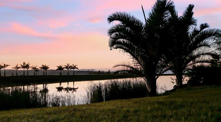 Summerfield Botanical Garden