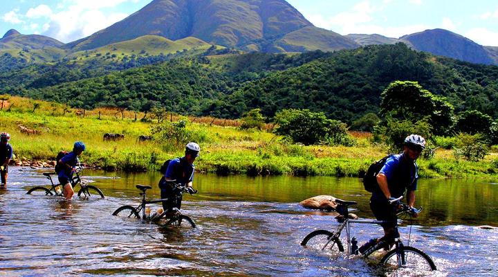 Summerfield Botanical Garden