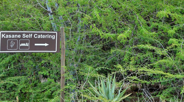 Kasane Self-catering