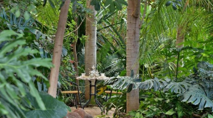 Kasane Self-catering