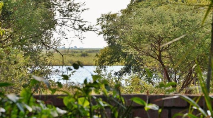 Kasane Self-catering