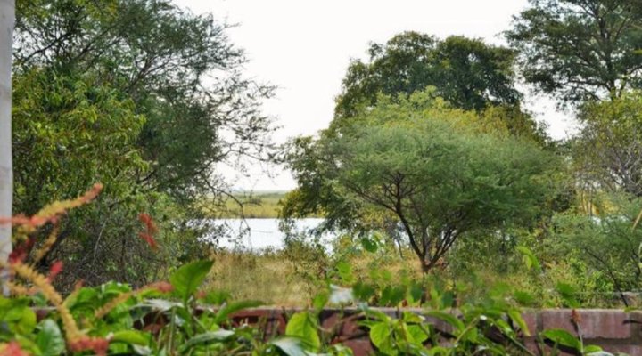 Kasane Self-catering