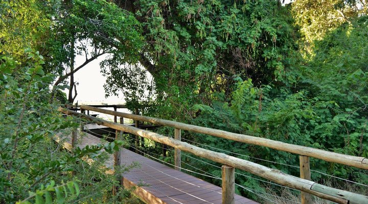 Kasane Self-catering