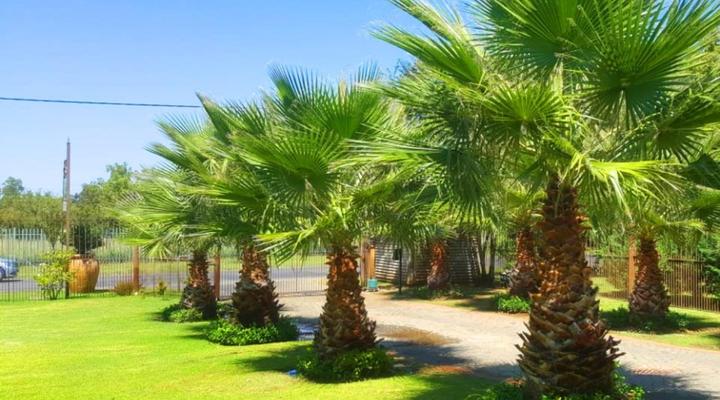 Dawnview Guest House