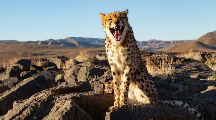 Neuras Wine and Wildlife Estate