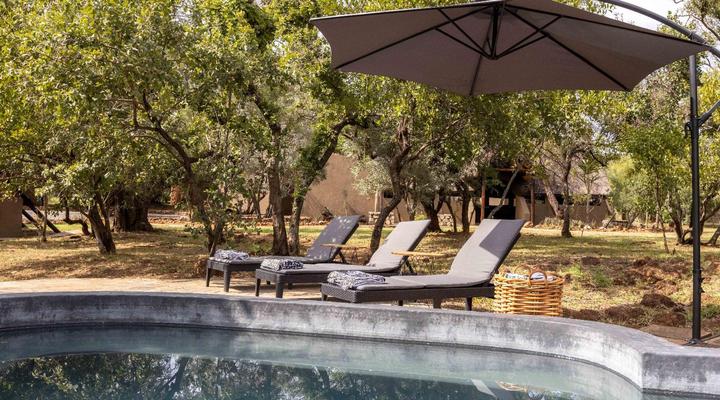 Amy's Camp at the Kevin Richardson Foundation