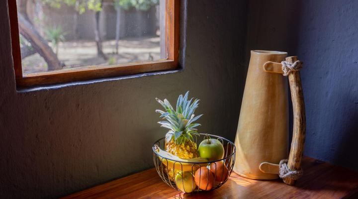 Amy's Camp at the Kevin Richardson Foundation