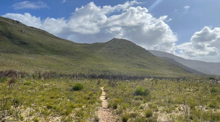 Footprints in Kleinmond