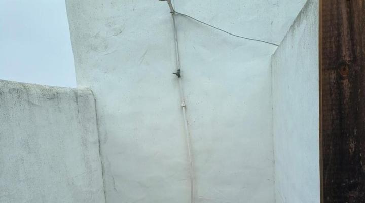 Artist Nest Guest House