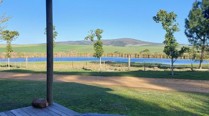 Willowdale Farm Cottages