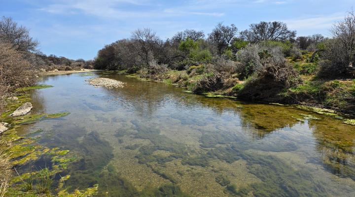 Elandspoort Private Game Reserve