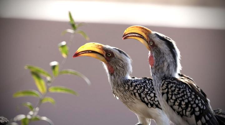 Thornhill Eco Lodge - Be at one with nature.