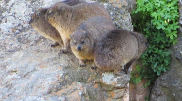 Tibani Nature Reserve