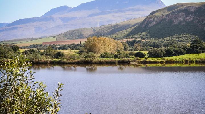 Fleckvieh Guest Farm
