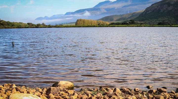 Fleckvieh Guest Farm