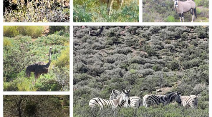 Tibani Nature Reserve