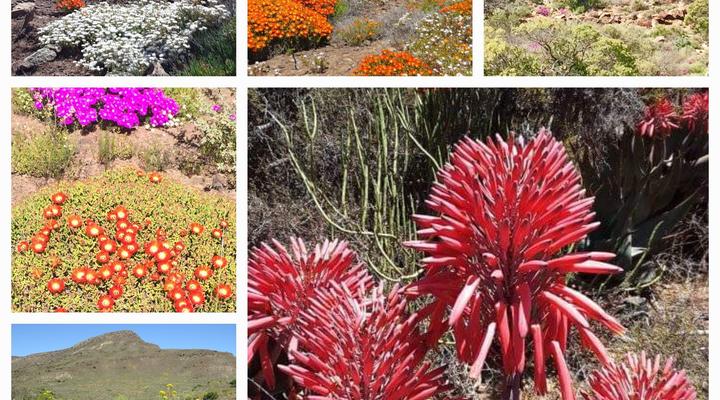 Tibani Nature Reserve