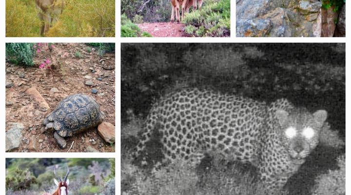 Tibani Nature Reserve