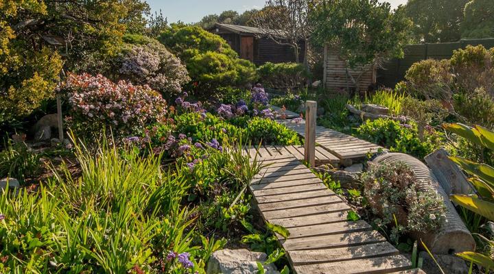 Absolute Ocean Boutique Guesthouse