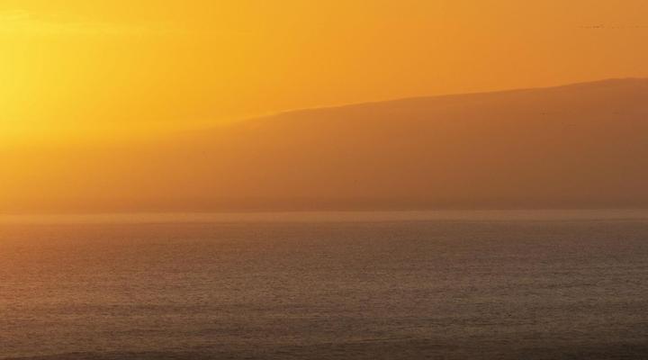 Manhattan on Coral 28