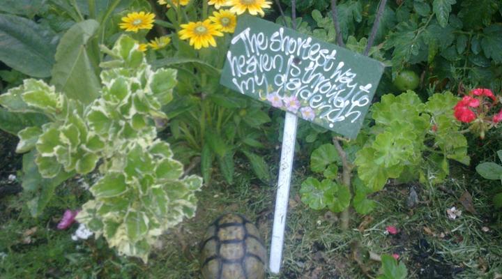 Eagles Rest Saldanha