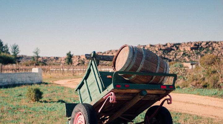 Alpha Excelsior Guest Farm