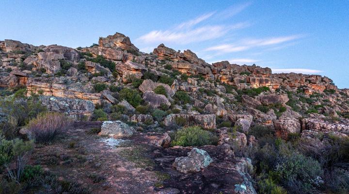 Alpha Excelsior Guest Farm