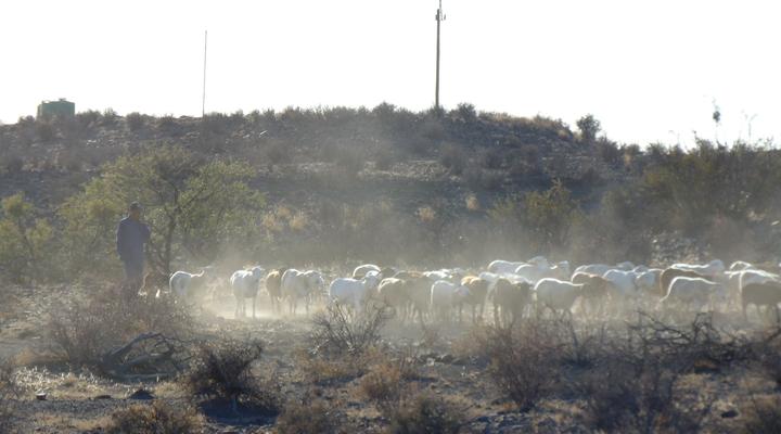 Zoetvlei Karoo Game & Guest Farm