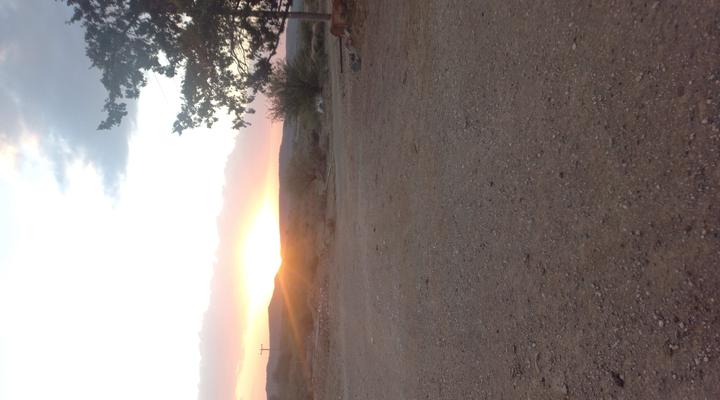 Gemsbokfontein Gasteplaas