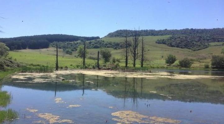 Old Balgowan Farm Cottage