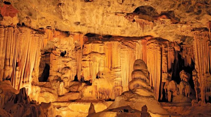 Luxury and homely stay