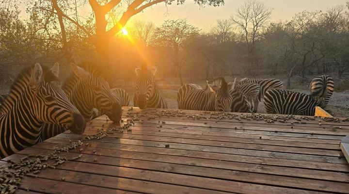 Inkolongwane Bush Lodge