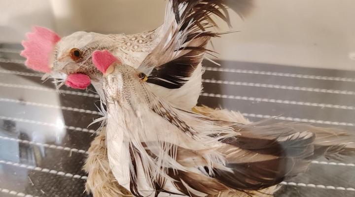 54 on 7th Newton Park