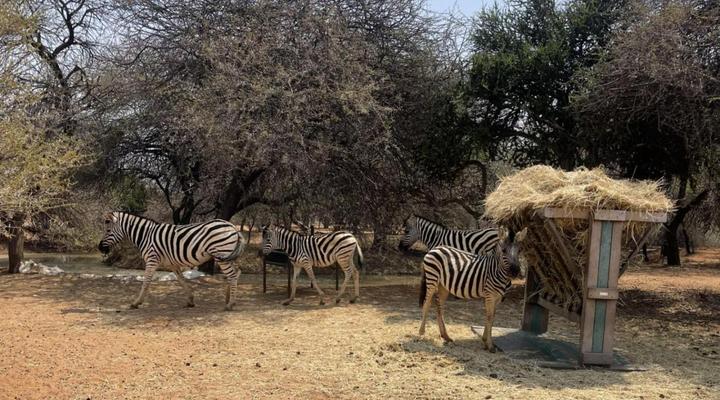 KweKwe Private Game Lodge