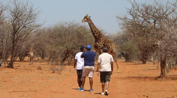 KweKwe Private Game Lodge