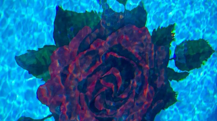 Villa Rosa luxury 6BR with pool