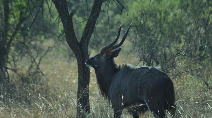 Sabella Bushveld Lodge
