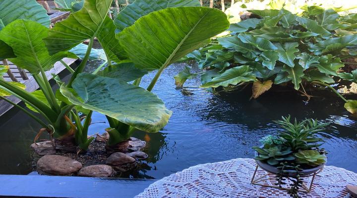 The Ranch Guesthouse