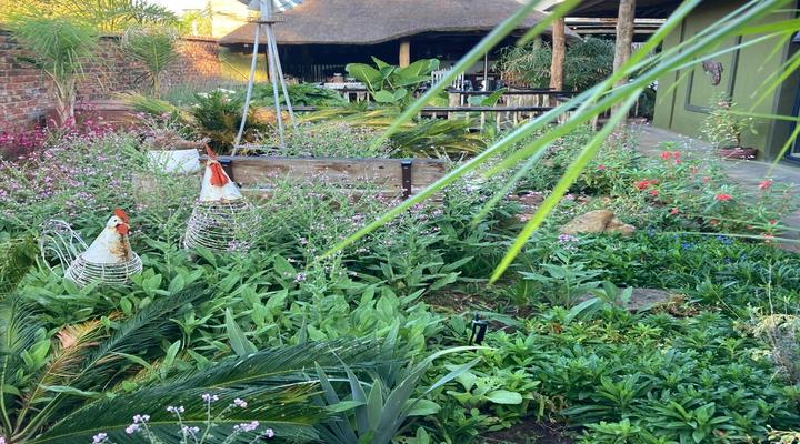 The Ranch Guesthouse