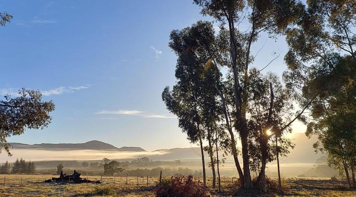 Willowdale Farm Cottages