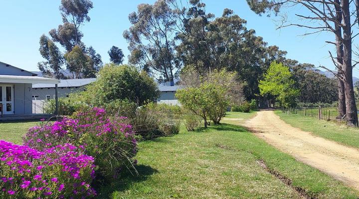 Willowdale Farm Cottages