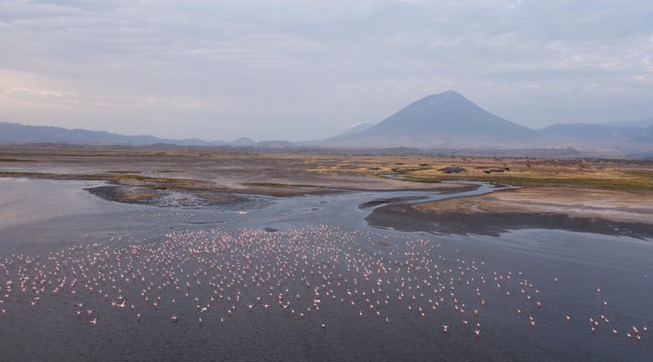 Lake Natron Tented Camp