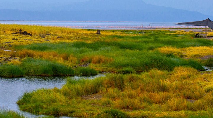 Lake Natron Tented Camp