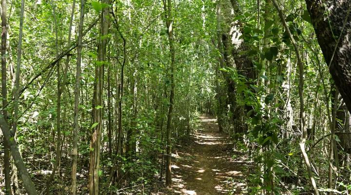 Country Retreat in Magaliesburg