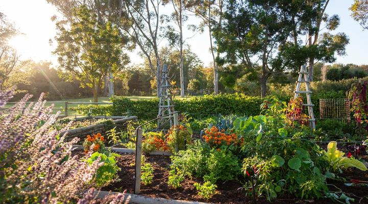 Rivergate Guest Farm