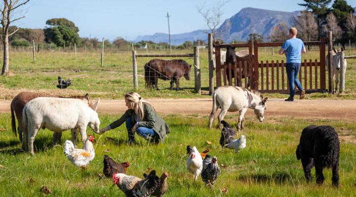 Rivergate Guest Farm
