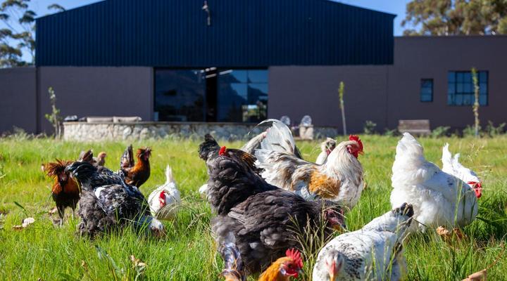 Rivergate Guest Farm