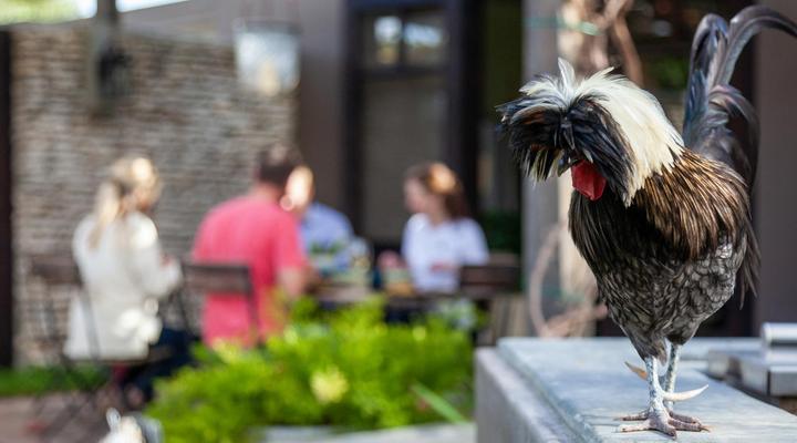 Rivergate Guest Farm