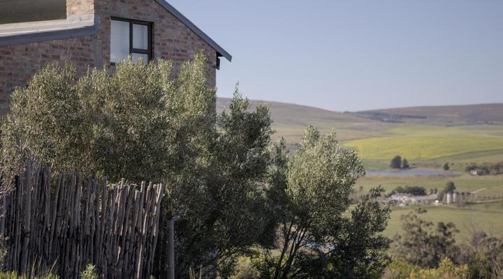 Phillipskop Mountain Reserve