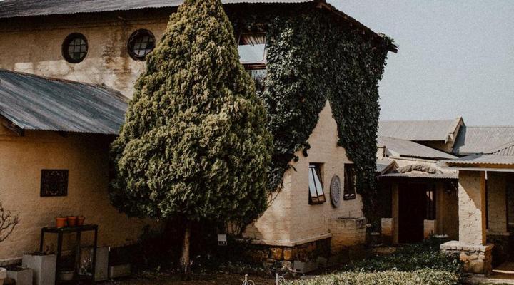 African Leaves Trout Lodge